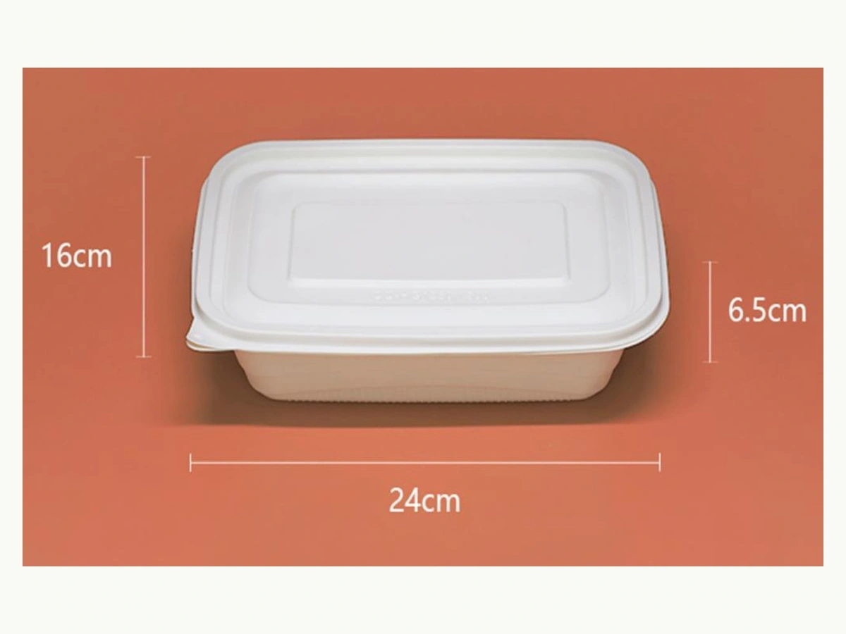 Full original product photograph from Hozan Limited PDF (no background removed) 1250ml Square Lunch Box