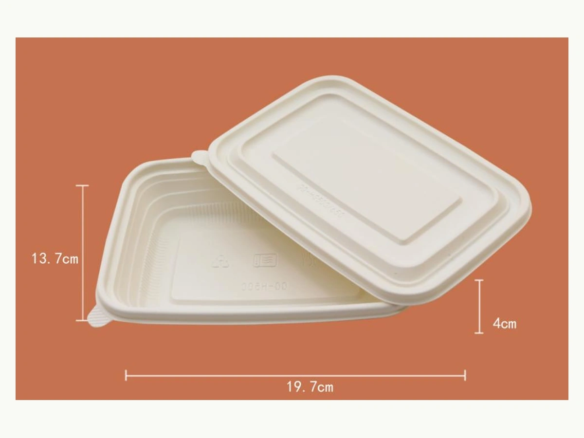 Full original product photograph from Hozan Limited PDF (no background removed) 500ml Square Lunch Box