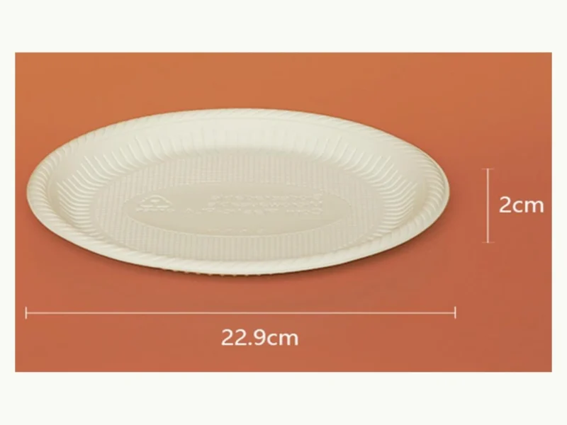 9 inch plate